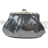 silver clasp purse